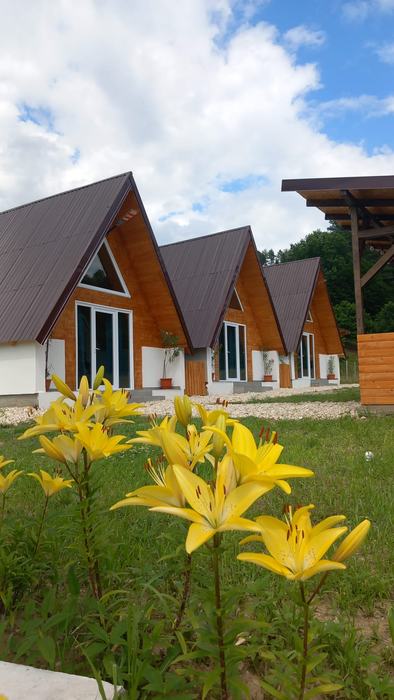 Cele trei cabane A-Frame, cu crini galbeni în față